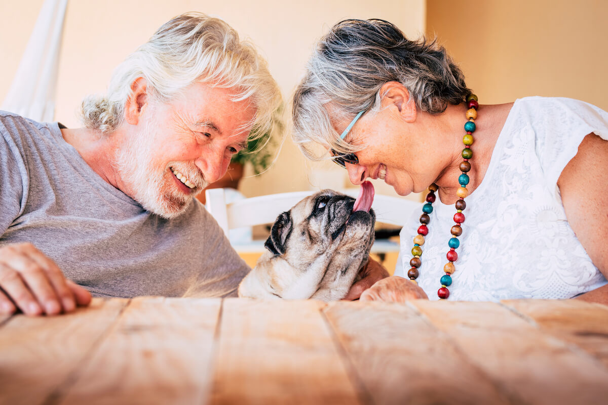 Buda Oaks | Happy senior couple sitting at the table with their adorable pug puppy