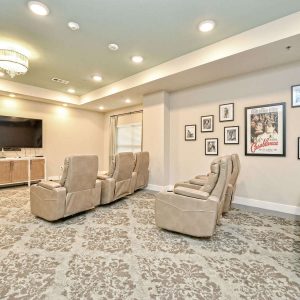 Buda Oaks | Theater Room